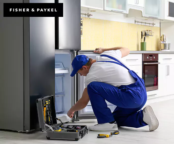 Top-Rated Fisher & Paykel Appliance Experts: Your Brand Specialist in East Hartford, CT