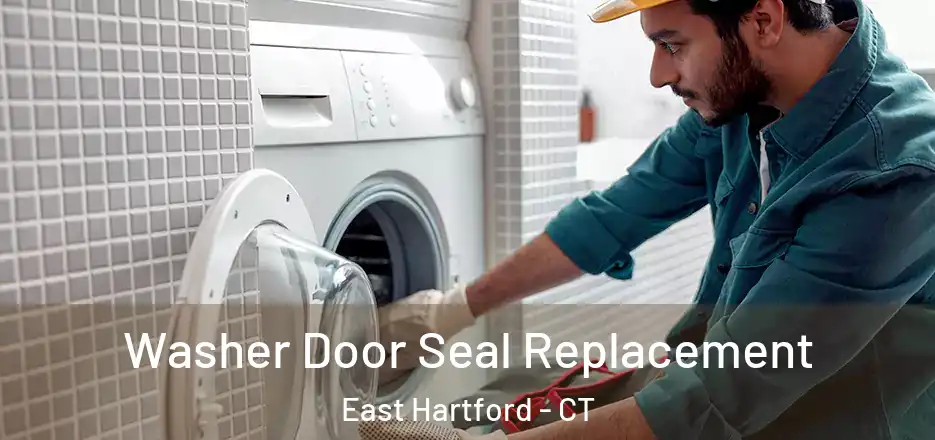  Washer Door Seal Replacement East Hartford - CT