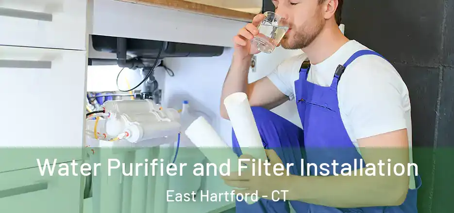 Water Purifier and Filter Installation East Hartford - CT